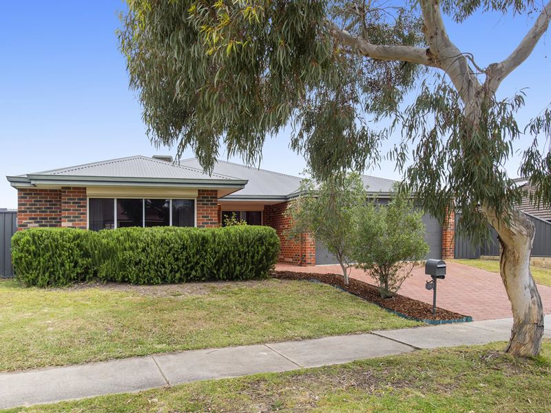 60 Lemon Gum Drive, Baldivis WA 6171