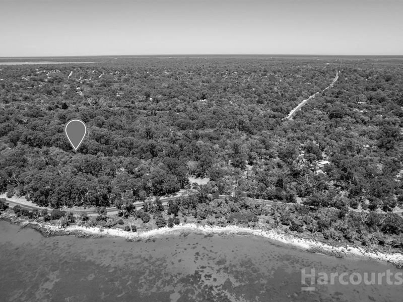 990 Estuary Road, Bouvard