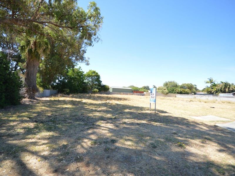 24 Morfitt Street, Mandurah