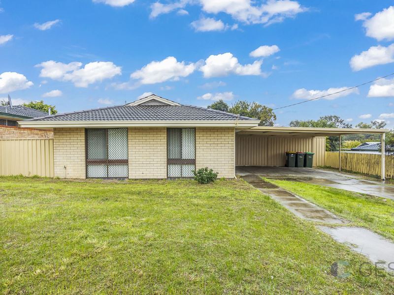 3 Scutti Place, Koondoola WA 6064