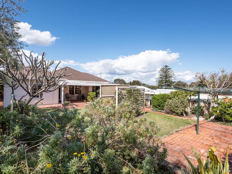 3 Butler Avenue, Swanbourne WA 6010