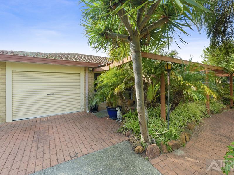 8 Torrens Street, Swan View