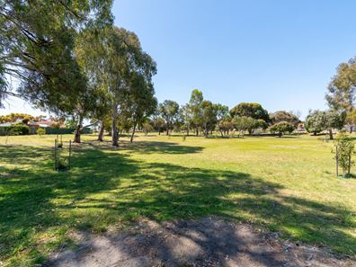 61 Coronata Drive, Warnbro WA 6169