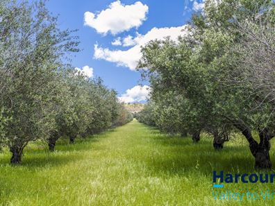 809 Bindoon-Moora Road, Bindoon WA 6502