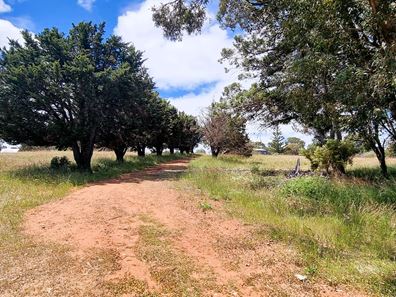 63 Sandalwood Road, Gabbadah WA 6041