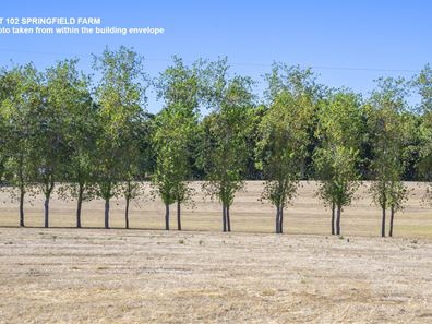 Lot 102,  Springfield Farm, Yallingup WA 6282