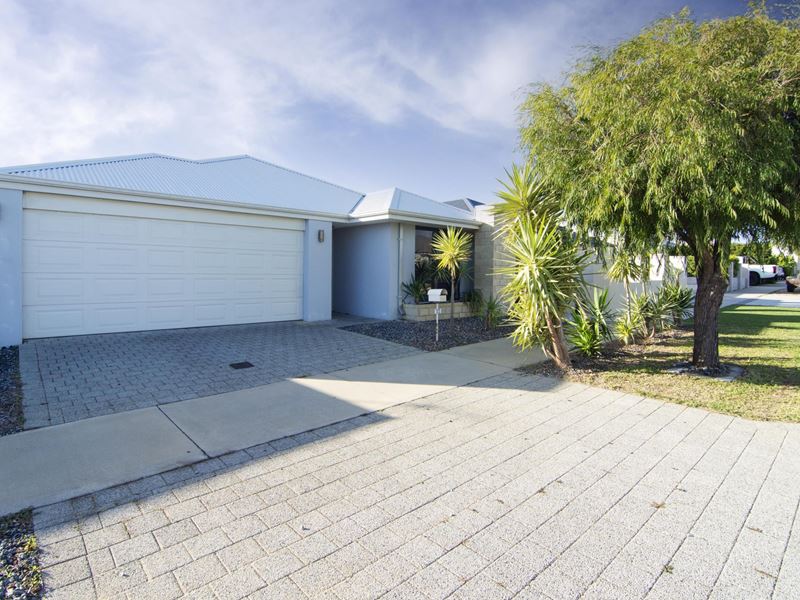 12 Millom Street, Butler