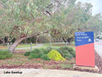 449 Karrinyup Road, Innaloo WA 6018