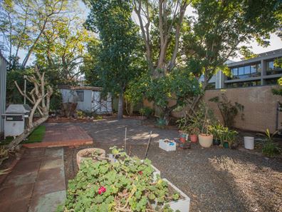 31 Cooper Street, Nedlands WA 6009