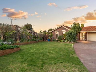 7 Debden Place, Carine WA 6020