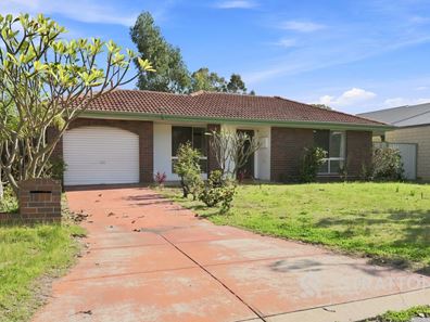 16 Whitby Court, Bentley WA 6102
