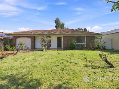 16 Whitby Court, Bentley WA 6102