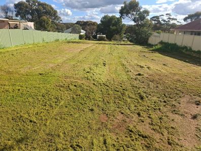 29 Hope Street, York WA 6302