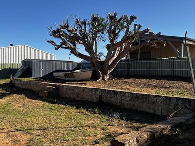 9 Hammond Street, Carnarvon WA 6701
