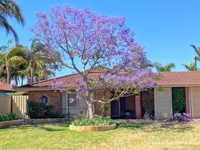 3 Ravendale Drive, Dudley Park WA 6210