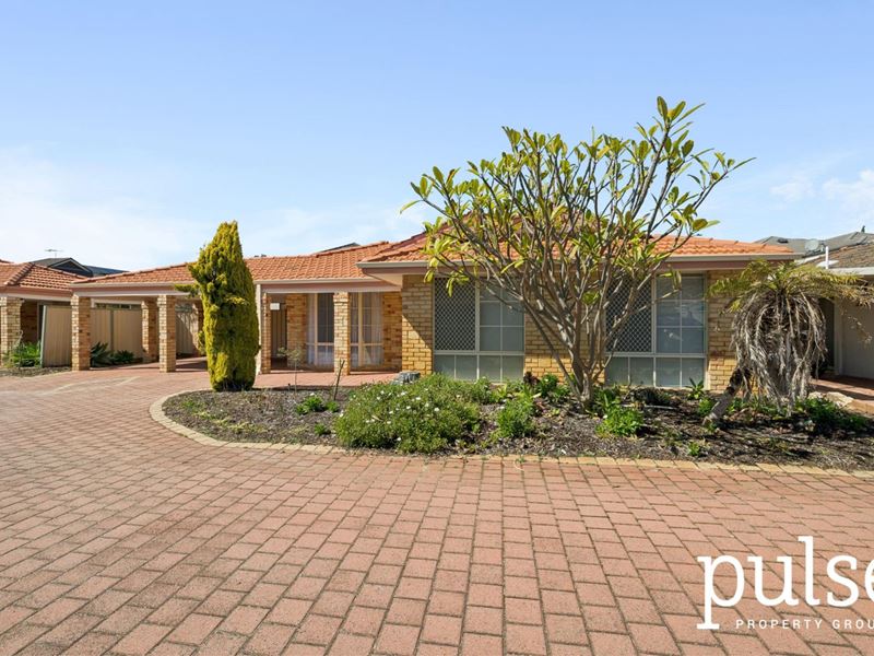 3/16 Marjorie Avenue, Shelley WA 6148