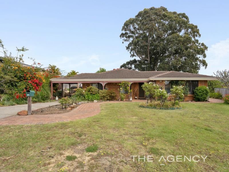 8 Norfolk Lane, Ballajura WA 6066