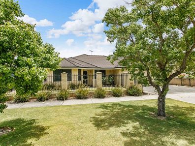 43 Wheeler Street, Morley WA 6062