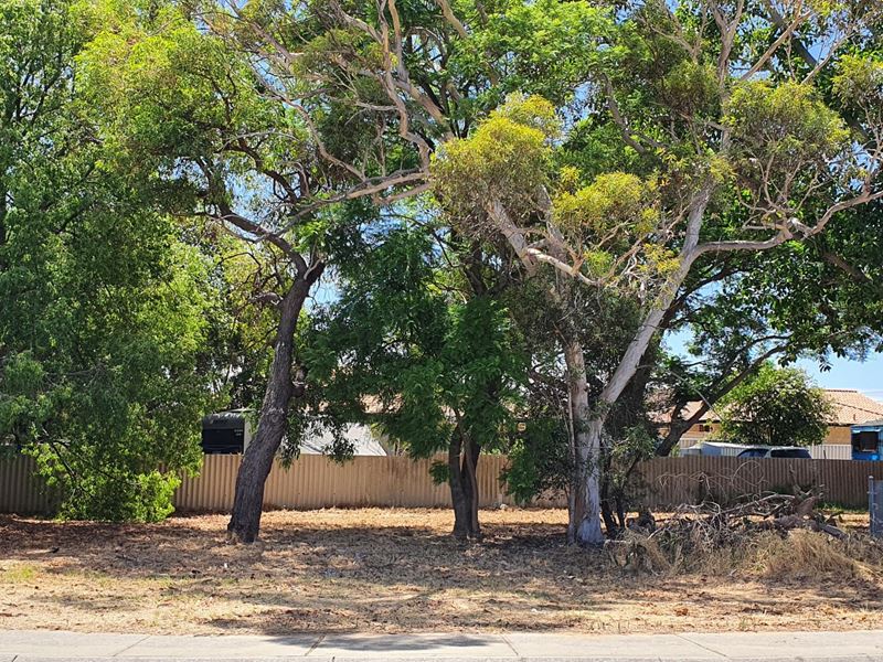 41 Moreing Street, Redcliffe