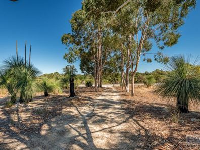 66 Heffron Way, Gabbadah WA 6041