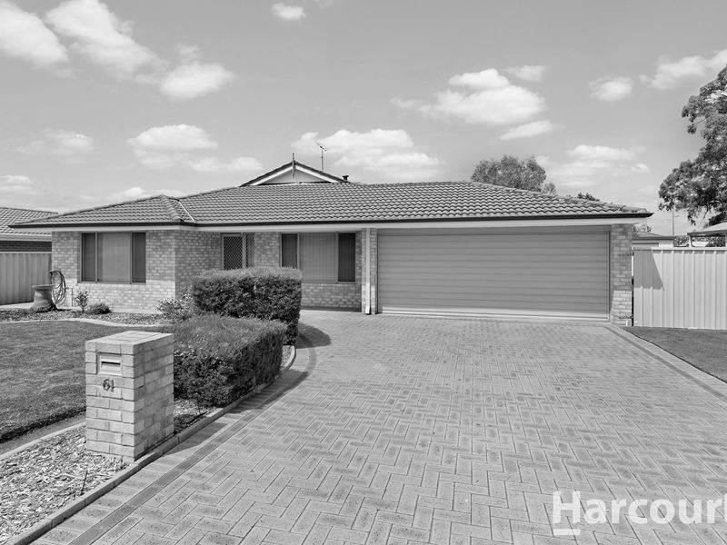 61 Bedingfeld Road, Greenfields
