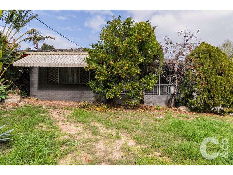 23 Richard Place, Orelia