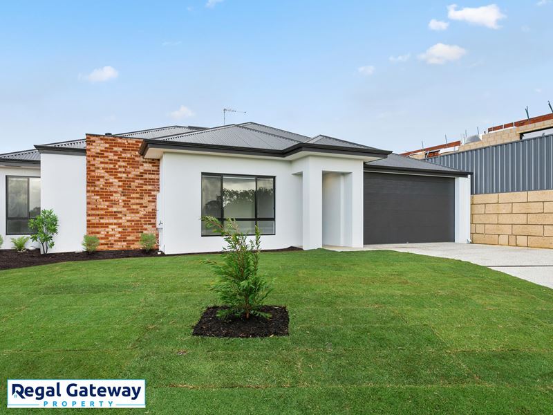 42 Honeymyrtle Avenue, Beeliar WA 6164