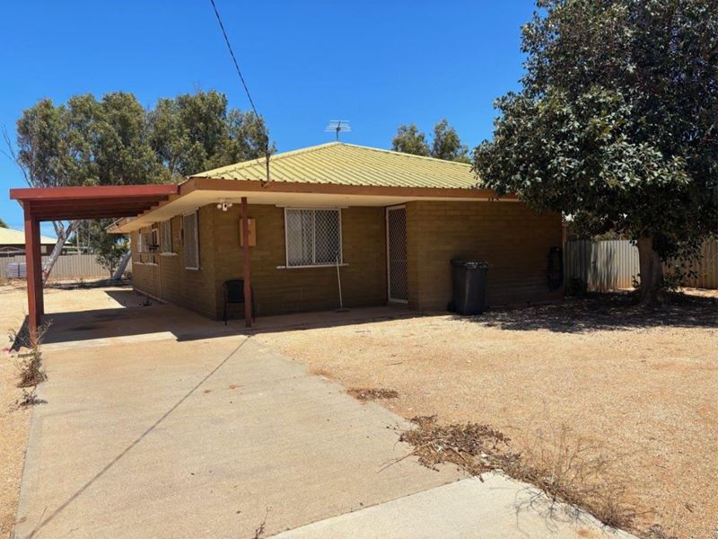 93 David Brand Drive, Carnarvon