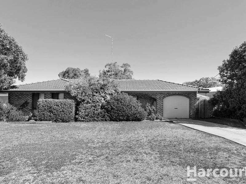 7 Vanessa Road, Falcon