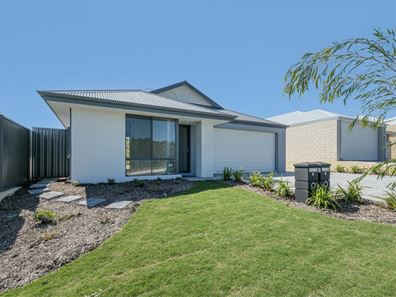 41 Butterleaf Avenue, Yanchep WA 6035