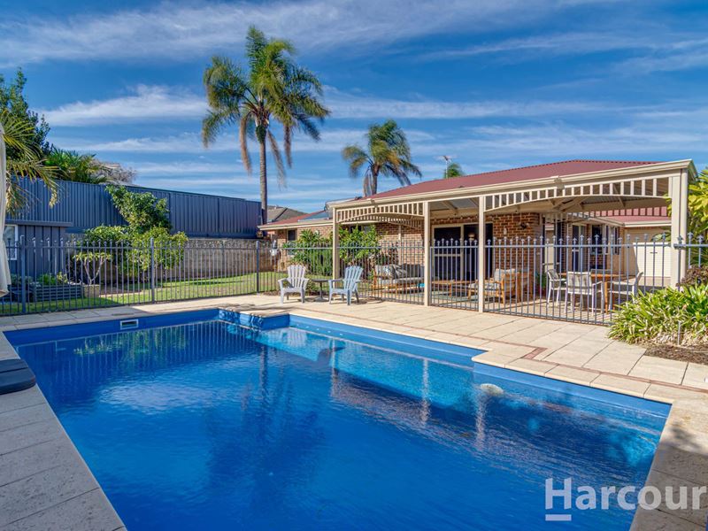 17 Bainbridge Mews, Currambine WA 6028