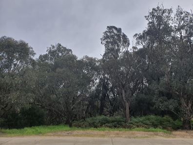 139 Pratt Road, Eaton WA 6232