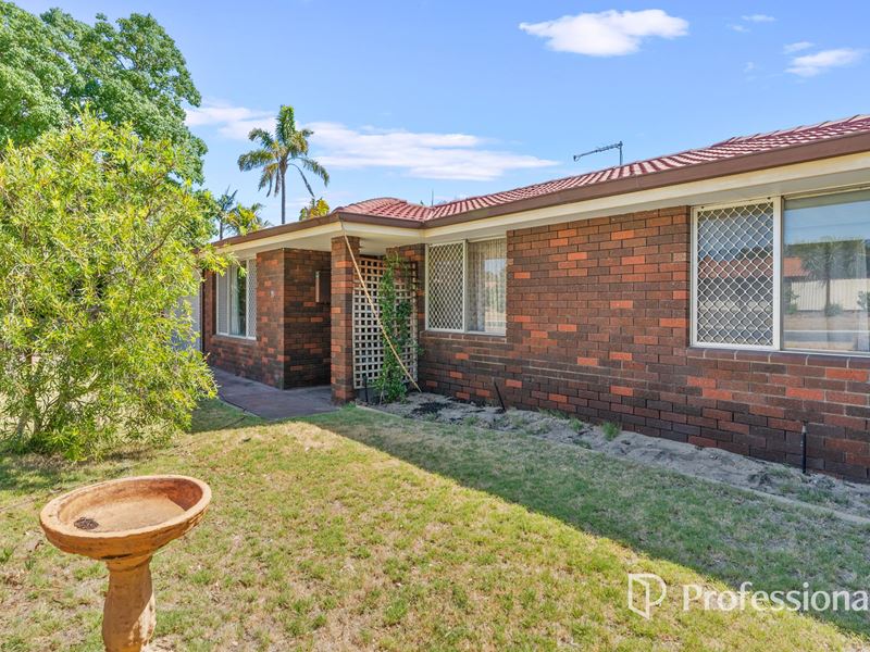 31 Redgum Lane, Swan View WA 6056