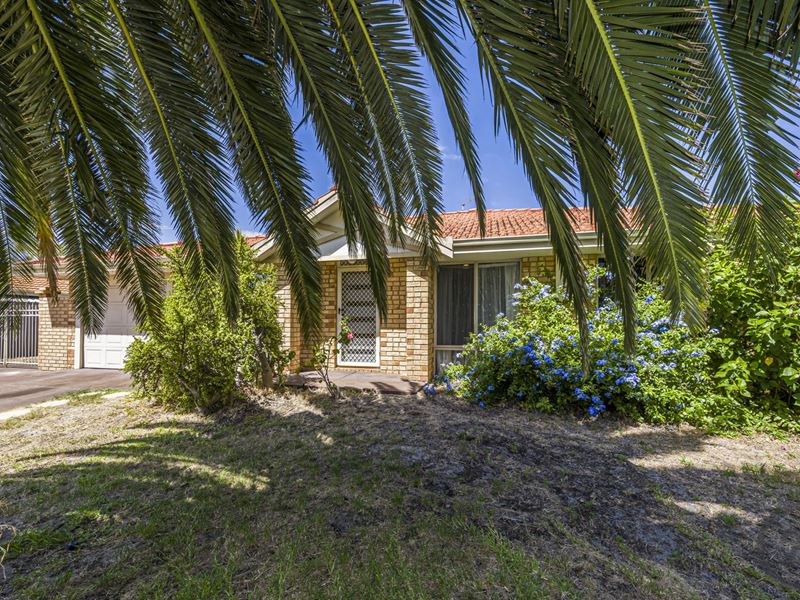 41 Wardell Loop, Dudley Park