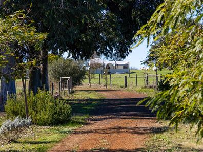 206 Alawoona Circle, Bullsbrook WA 6084