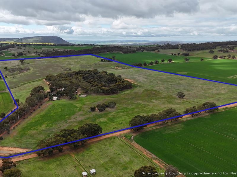 278 Myanarra Road, Daliak WA 6302