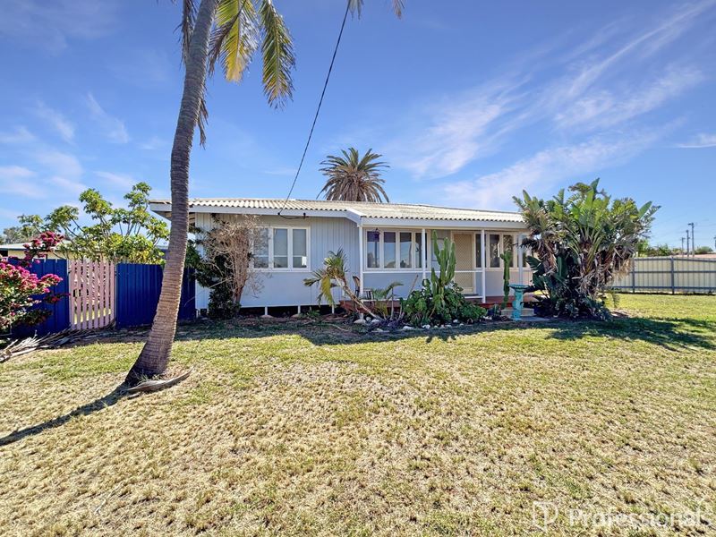 49 Crowther Street, South Carnarvon WA 6701