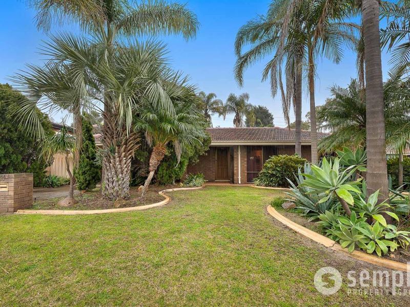 68 Sandpiper Loop, Yangebup