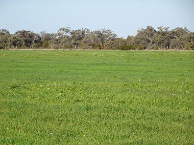 Lot 702 Dale Kokeby  Road, Kokeby WA 6304