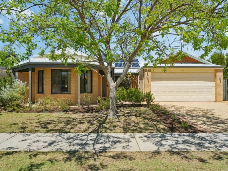 17 Ammanford Crescent, Butler WA 6036
