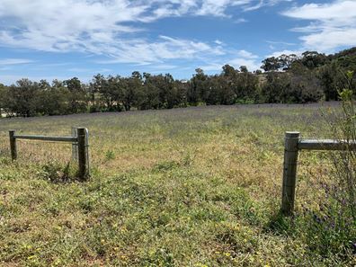 Lot 511 Pechey Road, Jane Brook WA 6056