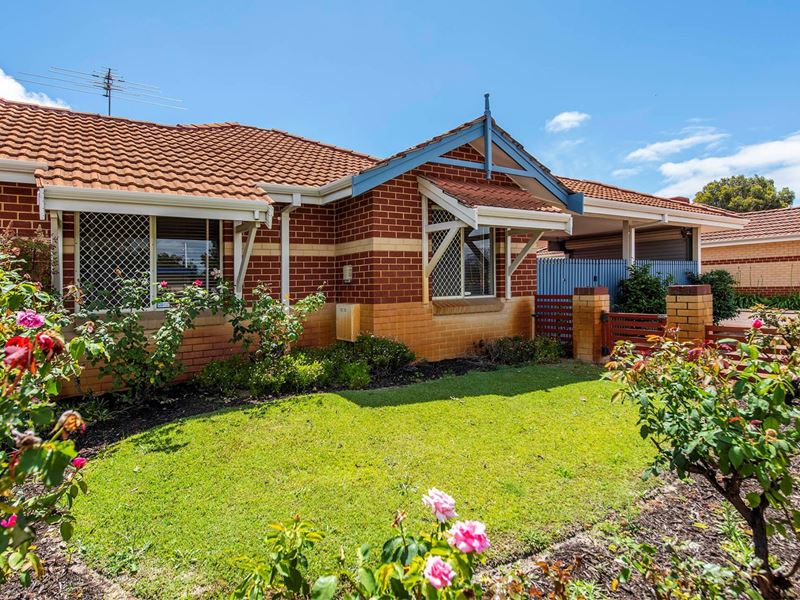 1/39 Challenger Avenue, Manning