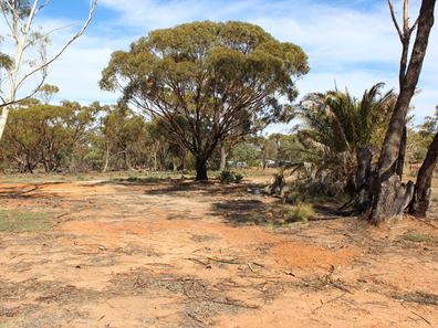 3 Scaddan St, Goomalling WA 6460