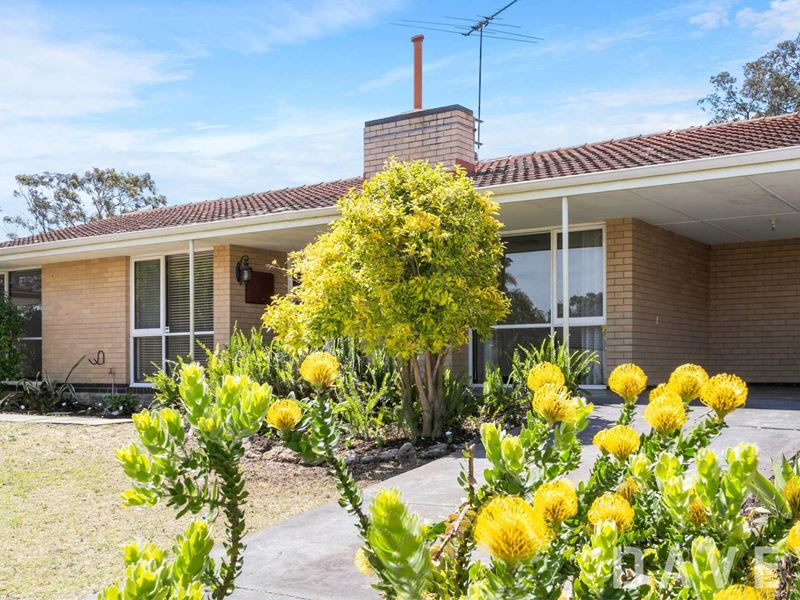 53 Campsbourne Street, Balcatta