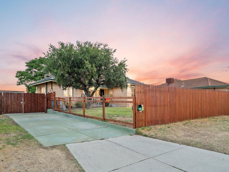 3 Carmody Street, Hamilton Hill