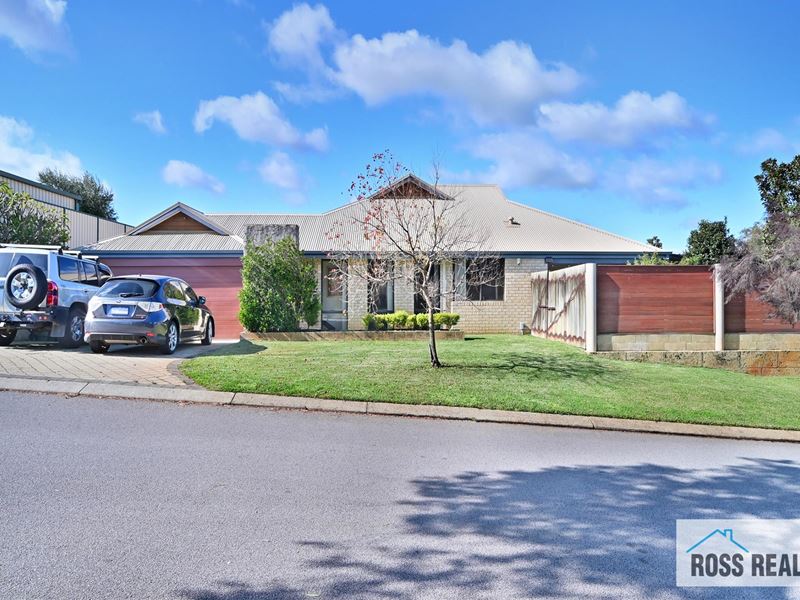 63 Steiner Avenue, Success