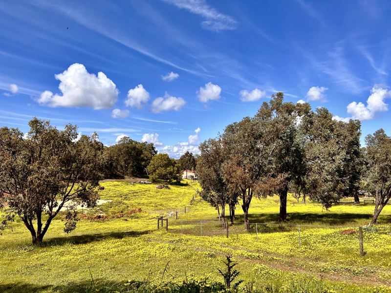 20 Malbec Close, Lower Chittering