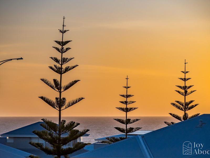 5 Achilles  Loop, Iluka