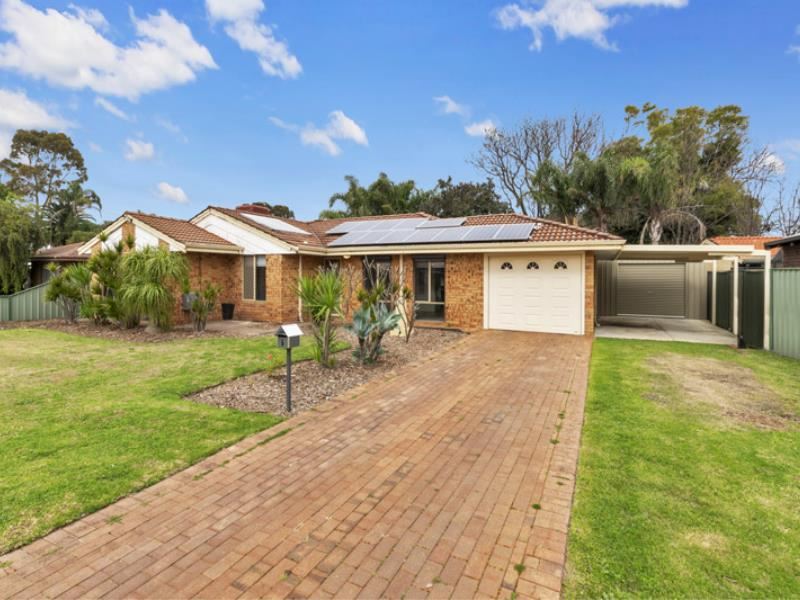 6 Walcha  Way, Armadale WA 6112