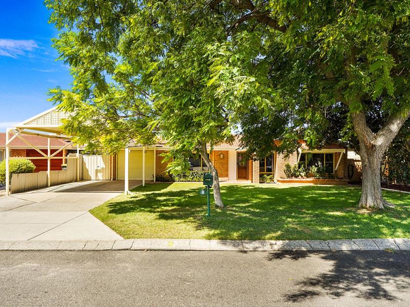 3 Callion Rise, Padbury WA 6025